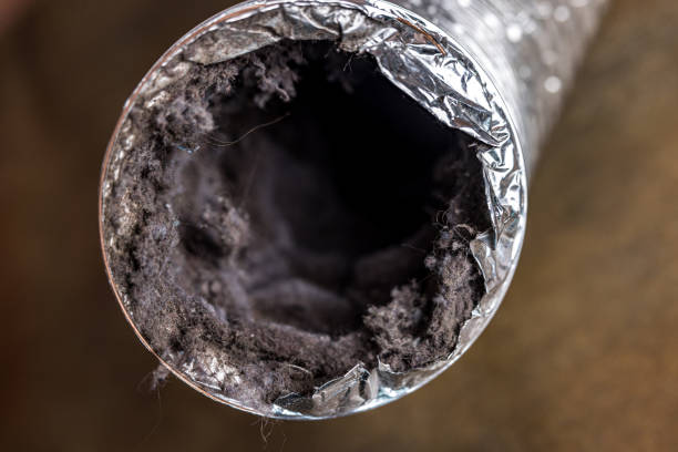 Best Affordable Duct Cleaning Services  in Lo, HI